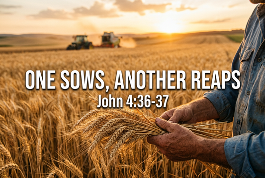 Golden wheat field at sunset with a farmer holding harvested grain stalks, overlaid with the text One Sows, Another Reaps and John 4:36-37