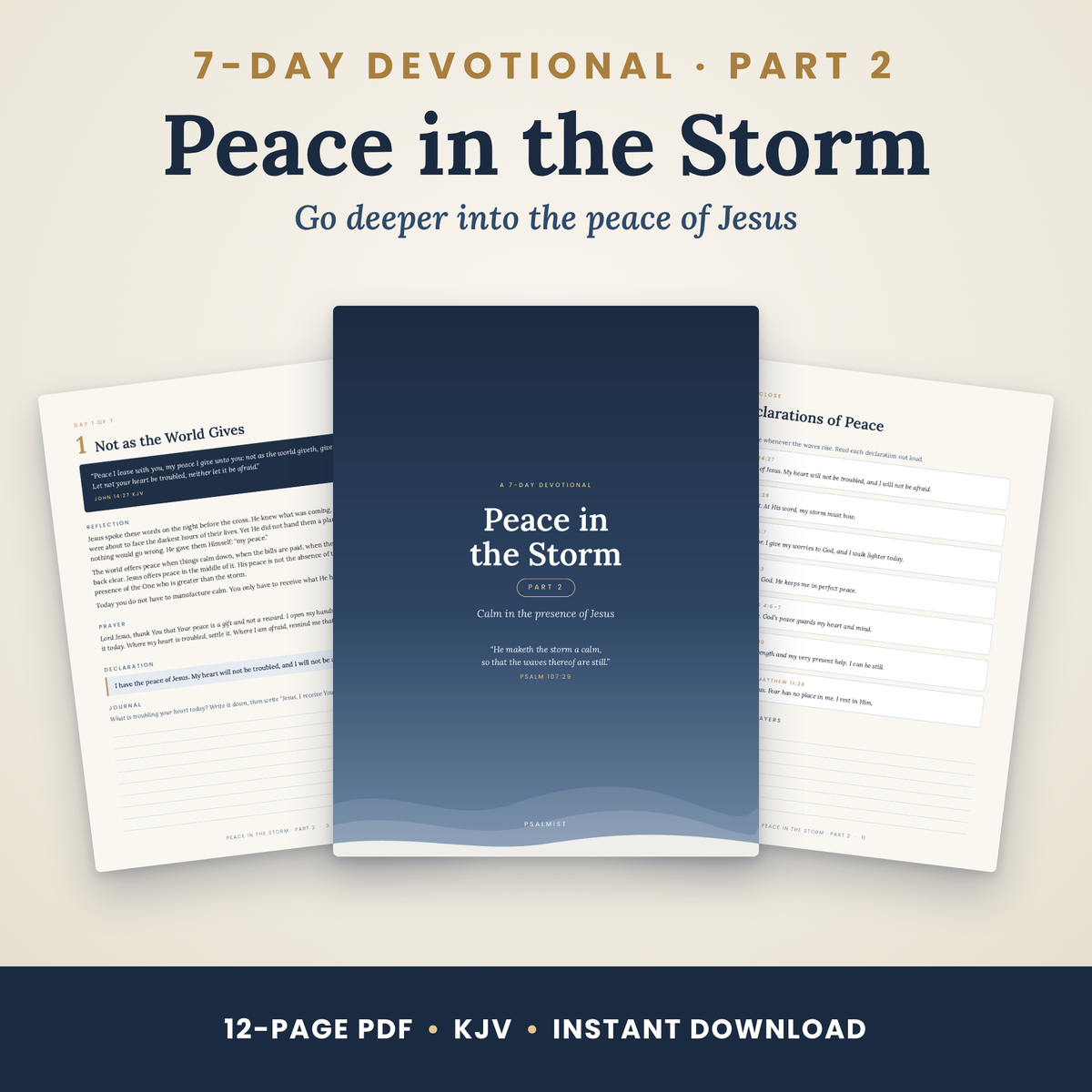 Peace in the Storm Part 2 — 7-Day Devotional